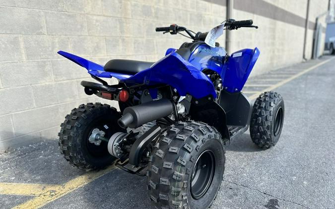 2024 Yamaha Raptor 110