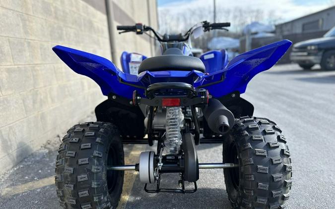 2024 Yamaha Raptor 110