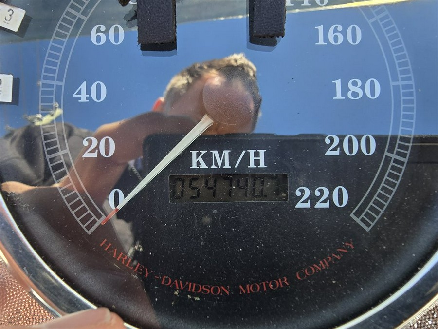 1998 Harley Davidson Springer Flsts Side