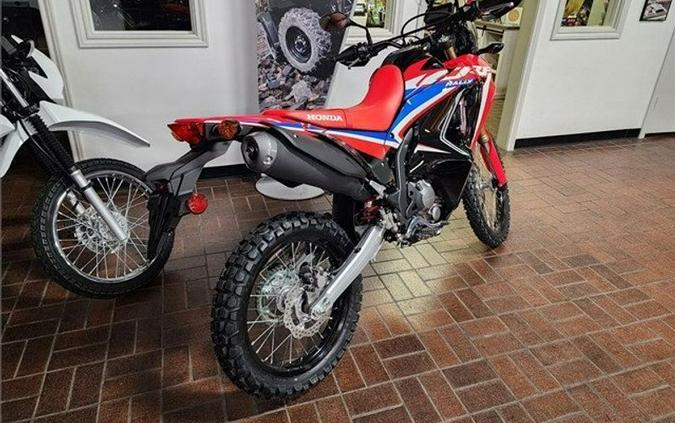 New 2023 Honda CRF300L RALLY