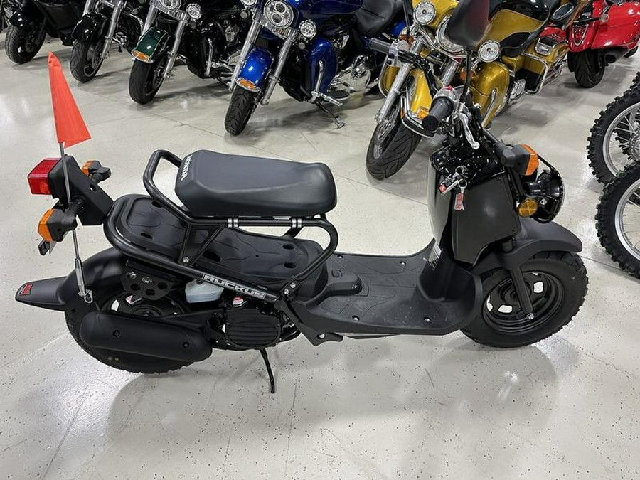 2024 Honda® Ruckus