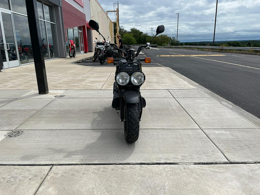 2024 Honda® Ruckus