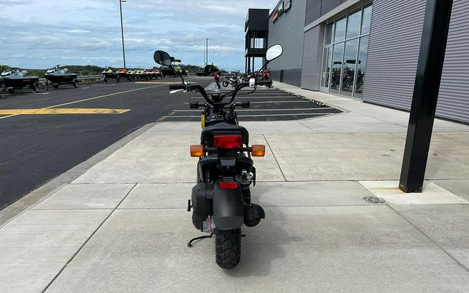 2024 Honda® Ruckus