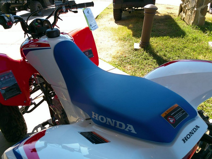 2026 Honda® TRX250XT