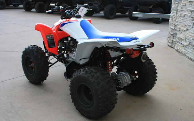 2026 Honda® TRX250XT