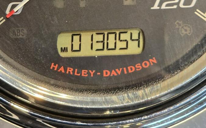 2016 Harley-Davidson® Road King® Billet Silver FLHR