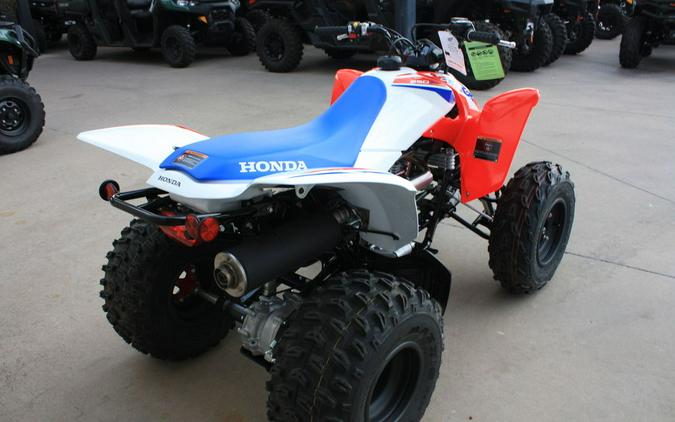 2026 Honda® TRX250XT