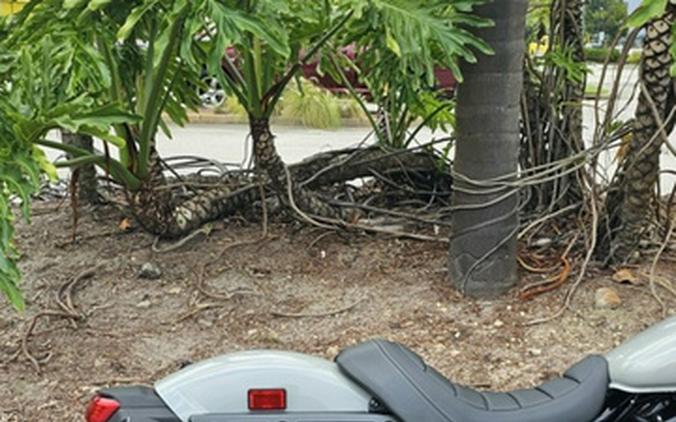 2025 Honda Shadow Phantom ABS