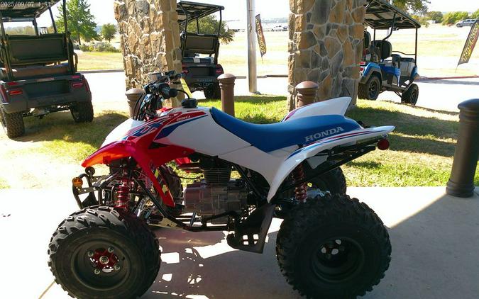 2026 Honda® TRX250XT