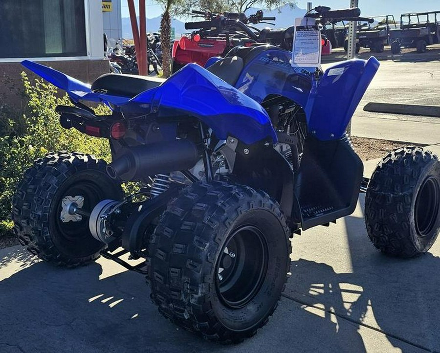 2024 Yamaha Raptor 110