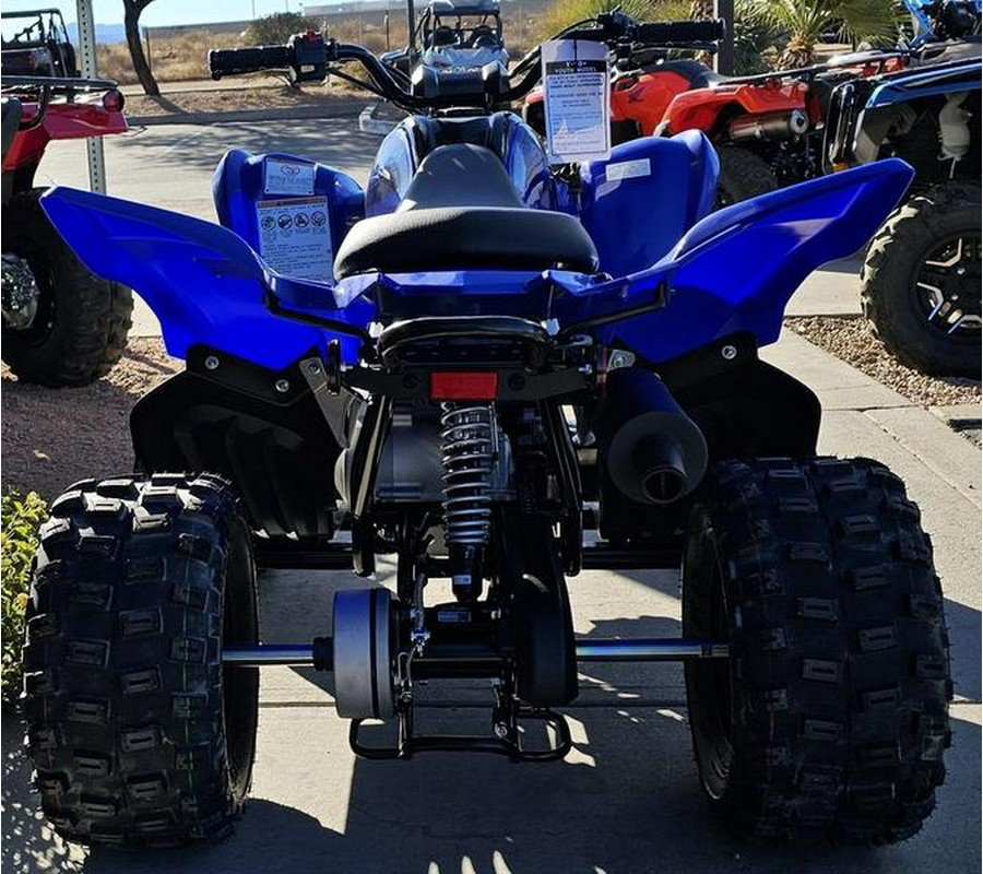 2024 Yamaha Raptor 110