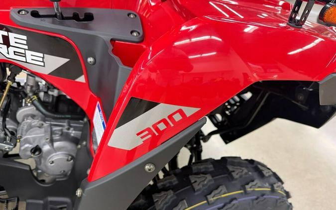 2026 Kawasaki Brute Force® 300