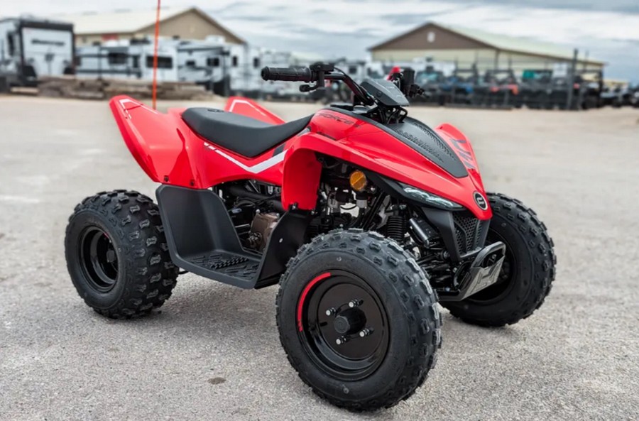 2024 CFMOTO CFORCE 110