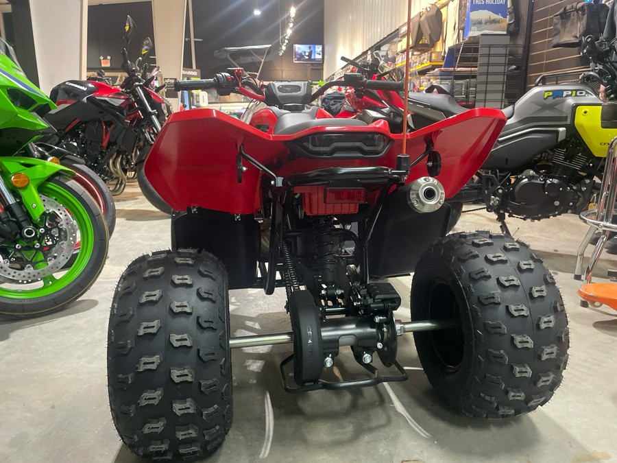 2024 CFMOTO CFORCE 110