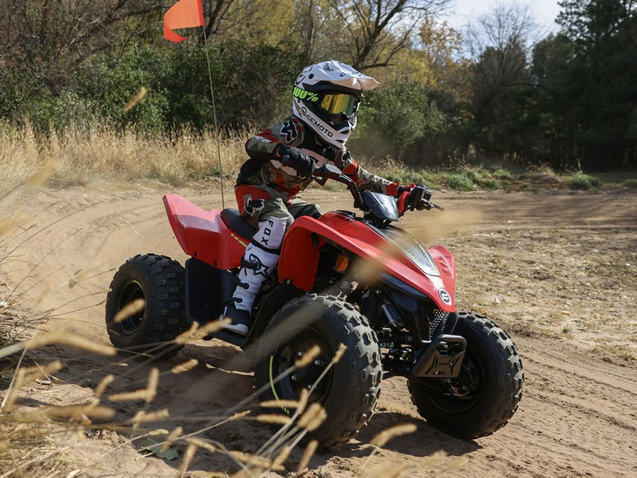 2024 CFMOTO CFORCE 110