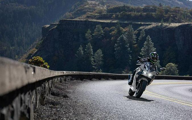 2025 Ninja® 500 ABS - Kawasaki