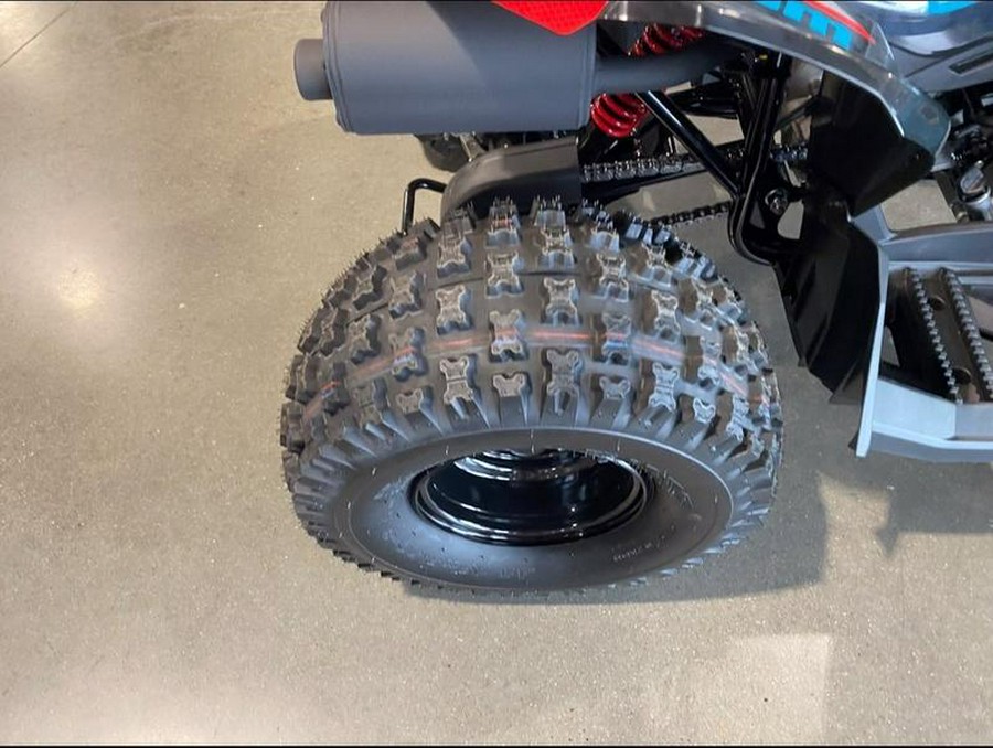 2026 Can-Am® Renegade 110 EFI