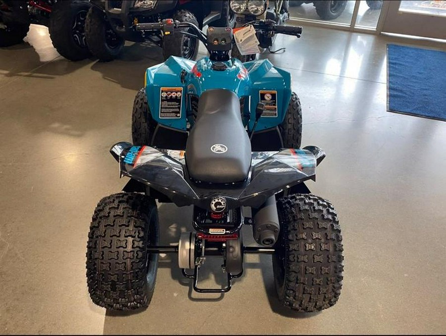 2026 Can-Am® Renegade 110 EFI