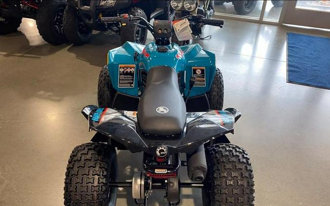 2026 Can-Am® Renegade 110 EFI