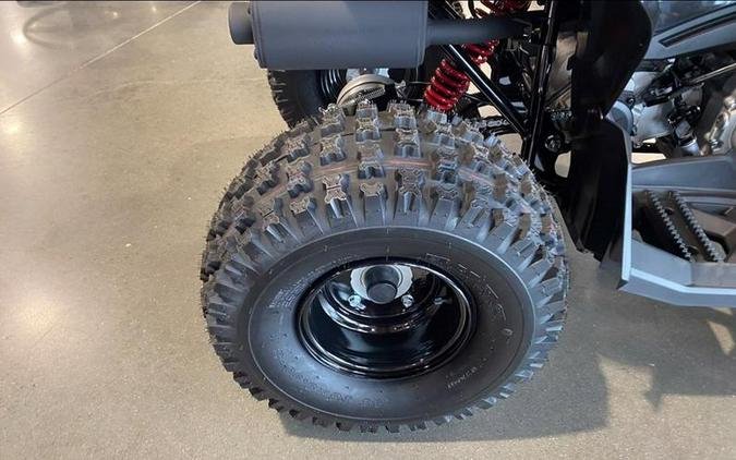 2026 Can-Am® Renegade 110 EFI