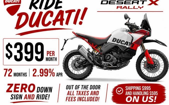 2026 Ducati Desert X Rally Livery