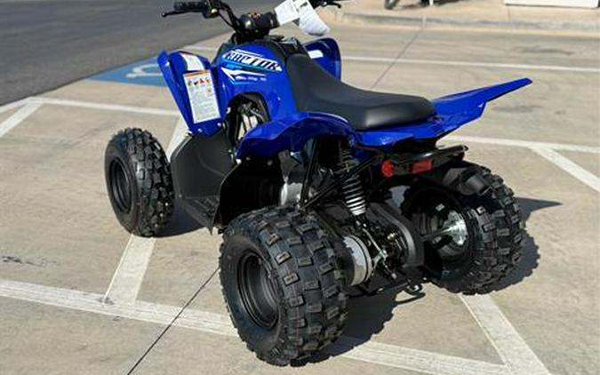2026 Yamaha Raptor 110