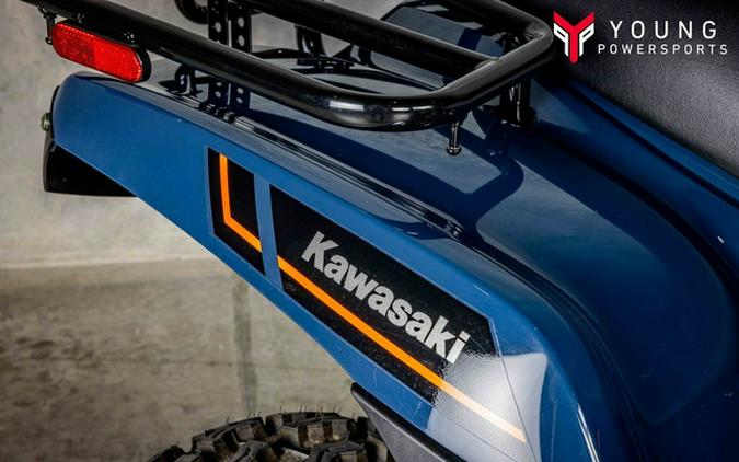 2026 Kawasaki Brute Force 300