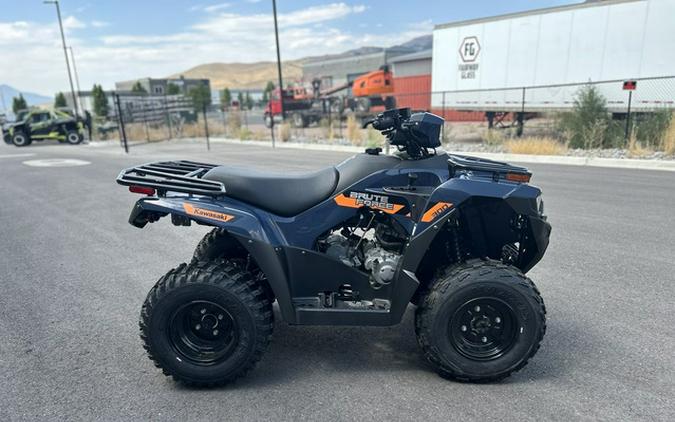 2026 Kawasaki Brute Force 300