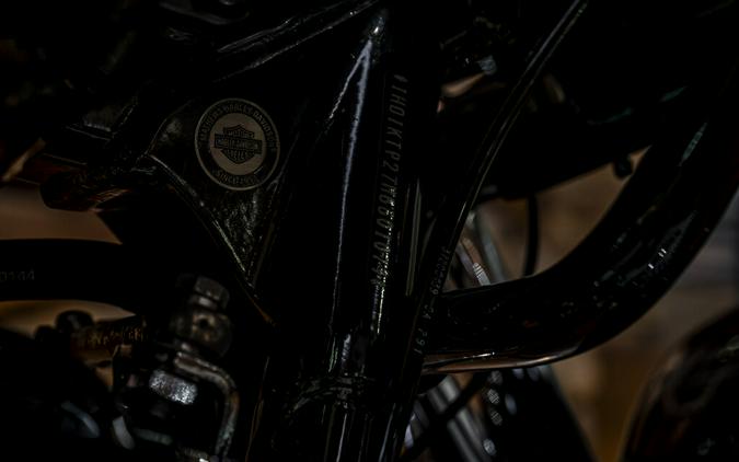 2021 Harley-Davidson Road Glide Special