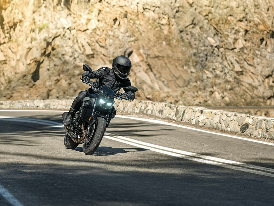 2025 Kawasaki Z900 ABS