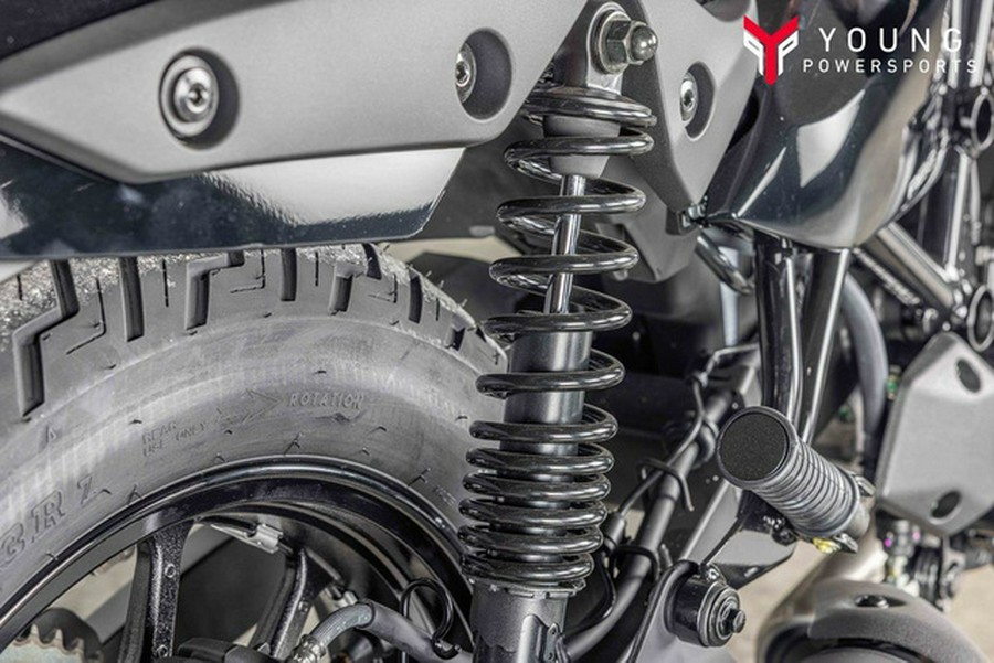 2026 Kawasaki Eliminator SE ABS