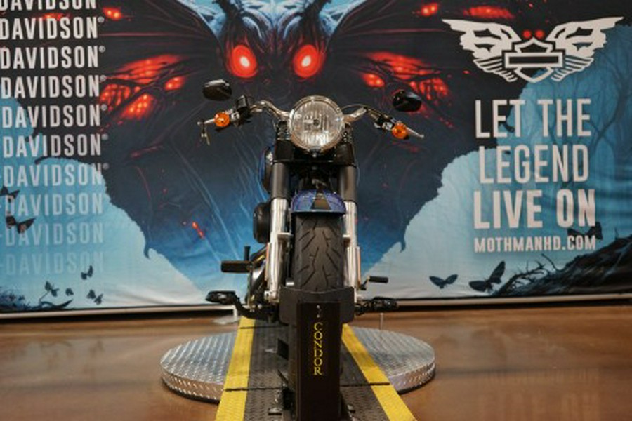 2014 Harley-Davidson Fat Boy® Lo