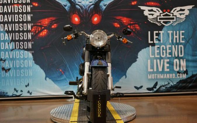 2014 Harley-Davidson Fat Boy® Lo