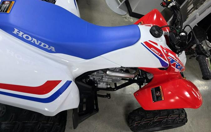 2026 Honda TRX 250X