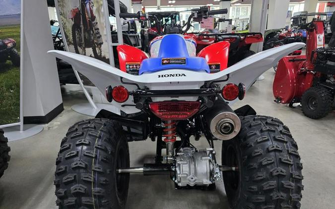 2026 Honda TRX 250X