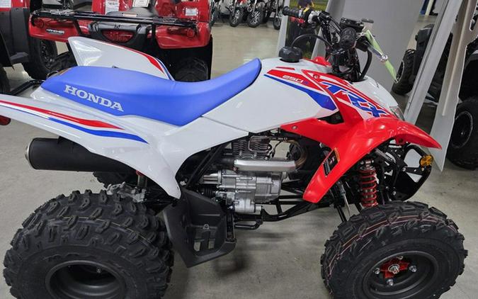 2026 Honda TRX 250X