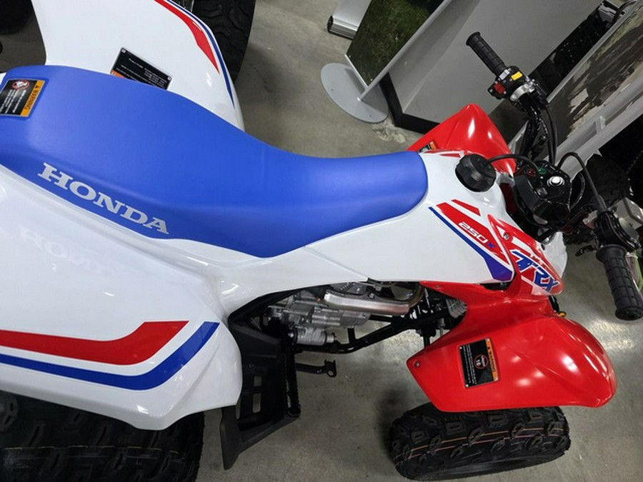 2026 Honda TRX 250X