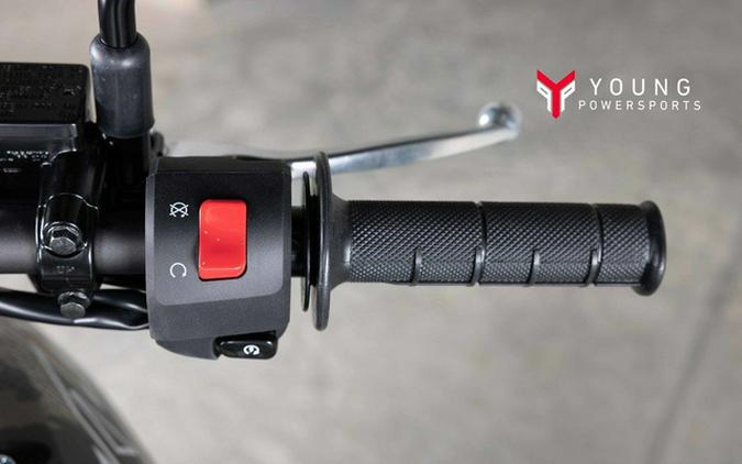 2026 Kawasaki KLX300 300