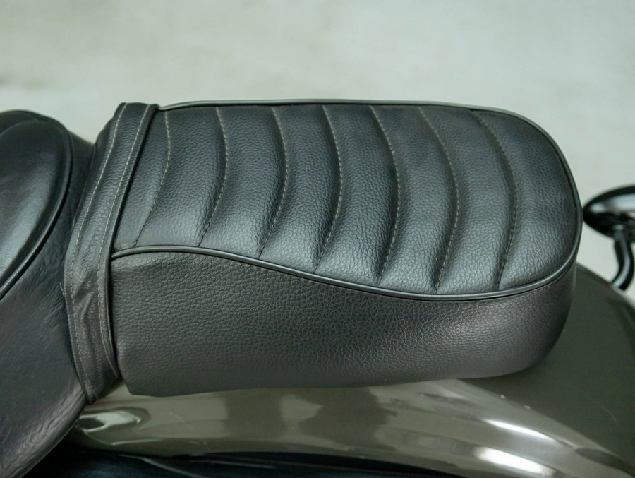 2019 HARLEY DAVIDSON XL883N SPORTSTER 883 IRON