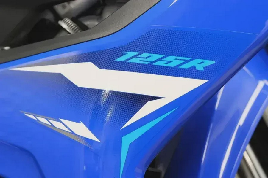 2026 YAMAHA WR125R