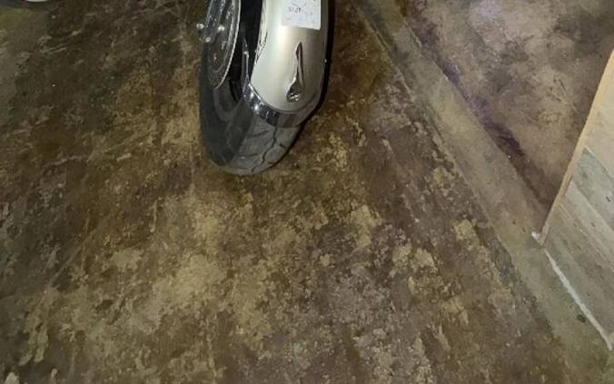 2009 Yamaha VNTRS
