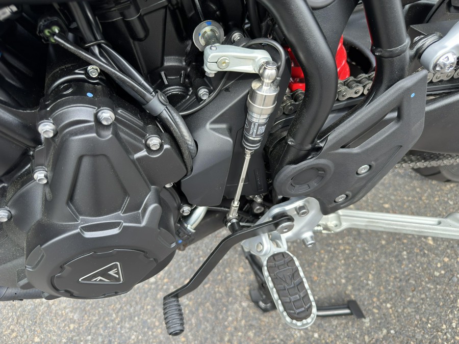 2025 Triumph Tiger 900 GT Pro - CARNIVAL RED - SAPPHIRE BLACK