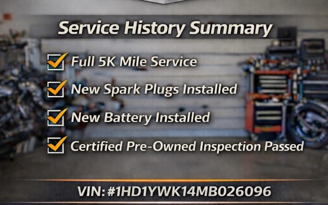 FXLRS 2021 Low Rider® S