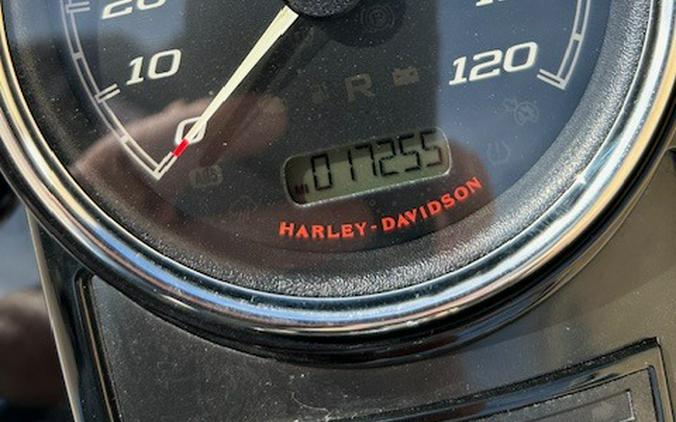 2023 Harley-Davidson Road King® Special