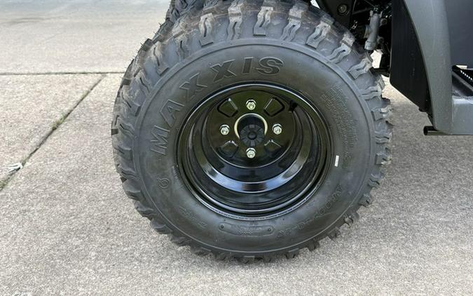 2026 Kawasaki Brute Force 300