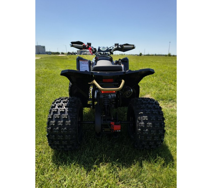 2026 Denago Powersports Trailhawk 10FI
