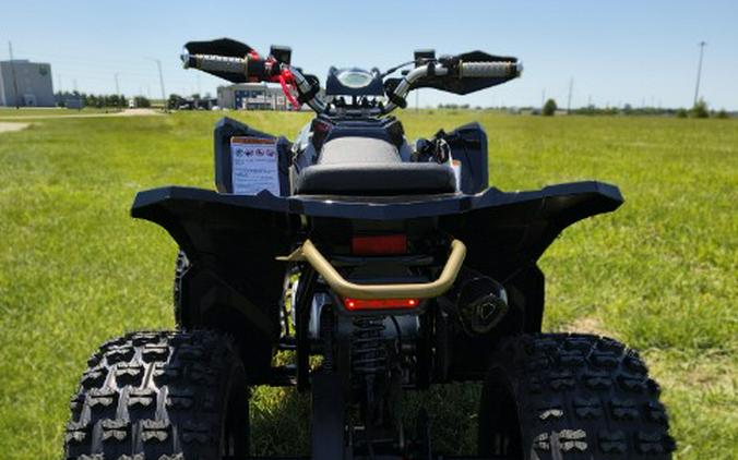 2026 Denago Powersports Trailhawk 10FI