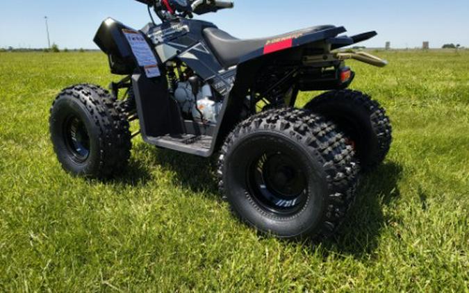 2026 Denago Powersports Trailhawk 10FI