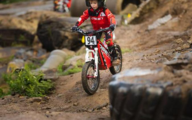 2023 Oset Electric Bikes 16.0R