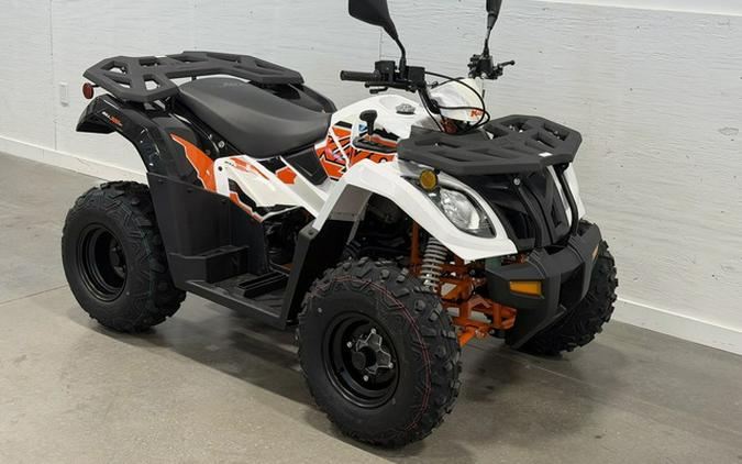 2025 Kayo Bull 300 EFI